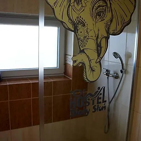 Bialy Slon Delux Hostel *